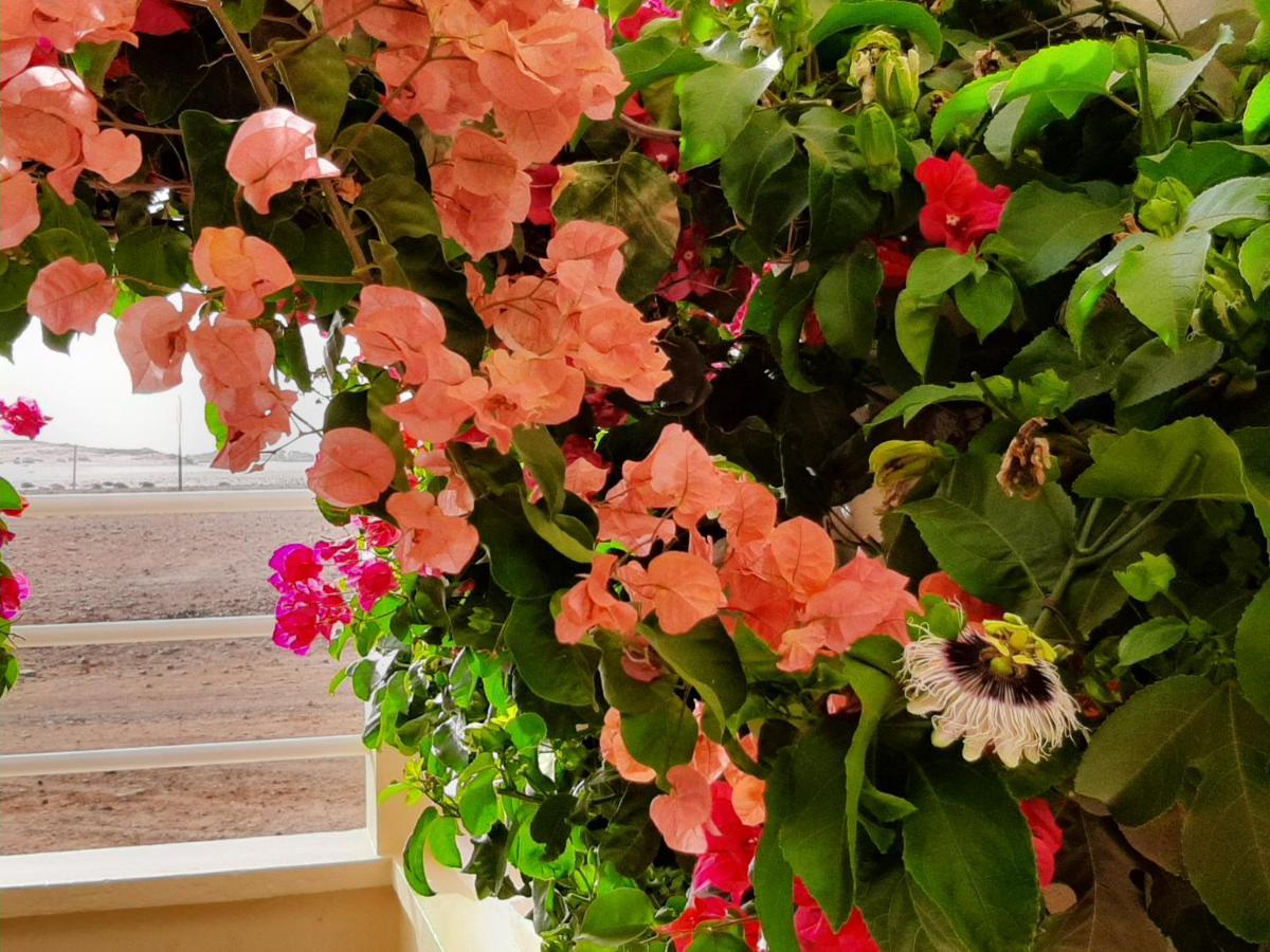 Aparthotel Terra Kriola Sal Rei Zewnętrze zdjęcie