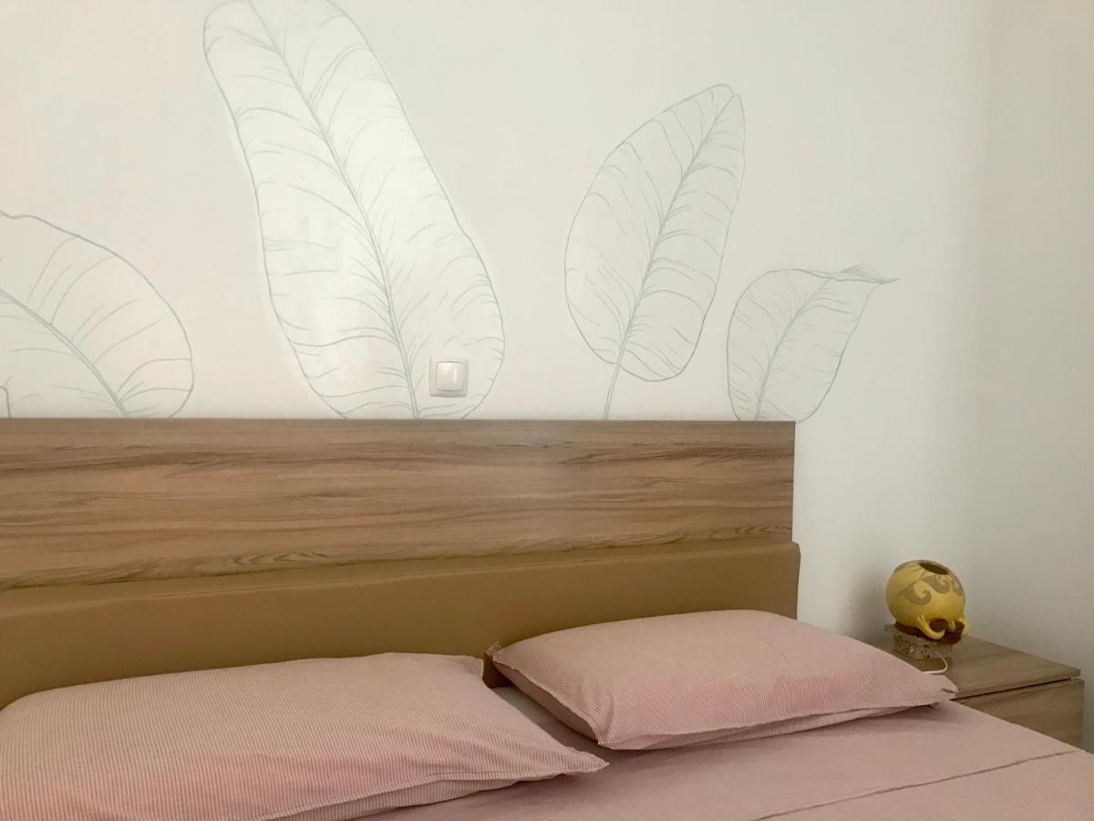 Aparthotel Terra Kriola Sal Rei Zewnętrze zdjęcie